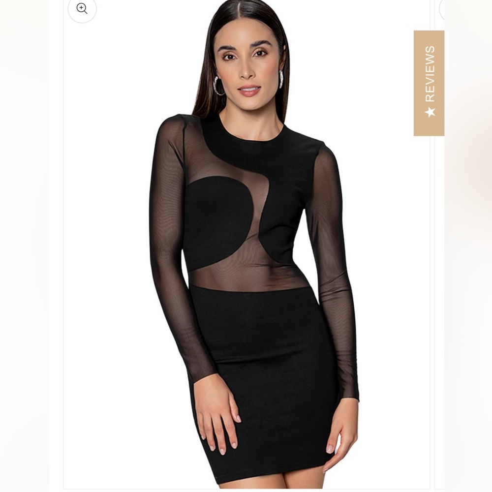 Zara Black cutout mesh long sleeves mini dress